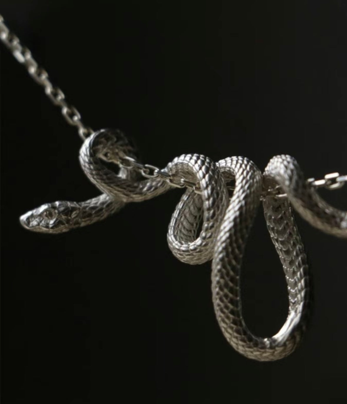 Style Snake Design Pendant Necklace, Fashionable Chain Necklace for Party, Daily Clothing Decor for Girl, Trendy All-match & Exquisite Jewelry
